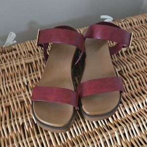 Taryn Rose Maroon Sandals